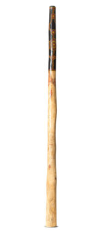 Jesse Lethbridge Didgeridoo (JL242)